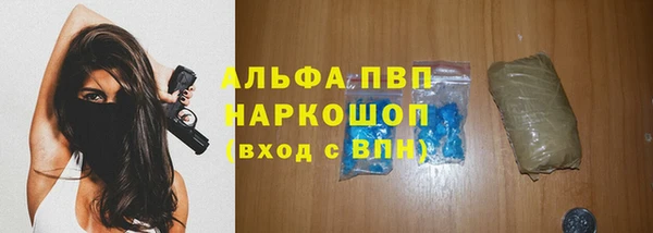 индика Балабаново