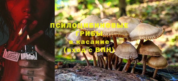 индика Балабаново