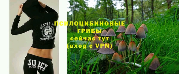 индика Балабаново
