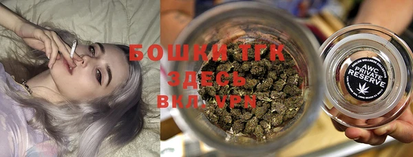 индика Балабаново