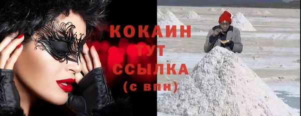 индика Балабаново