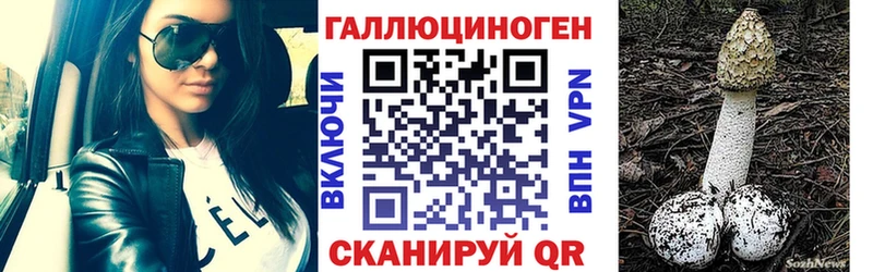 Купить закладки  Бузулук  Псилоцибиновые грибы Psilocybe 